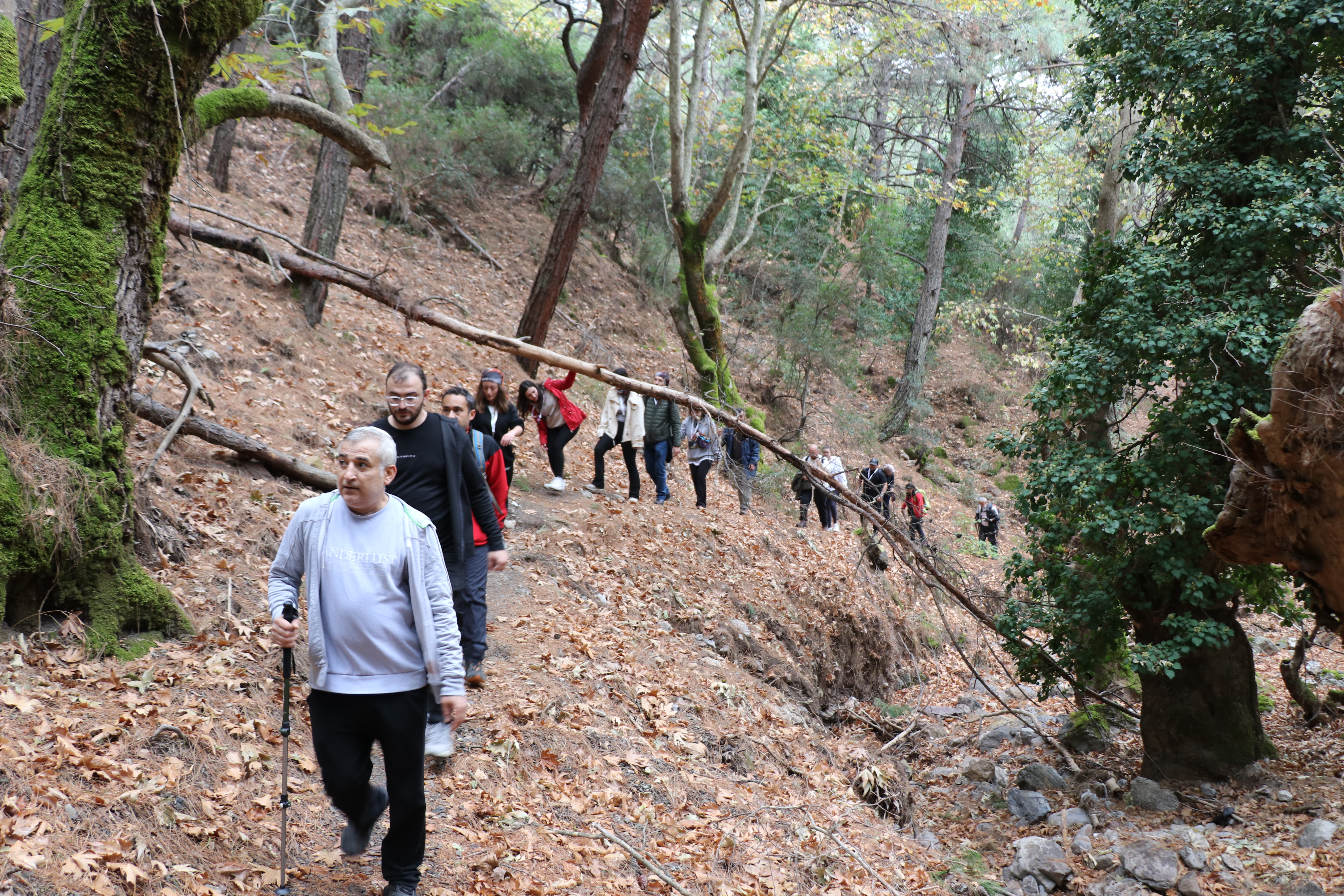 Our Team Spirit Reached New Heights in Nature!