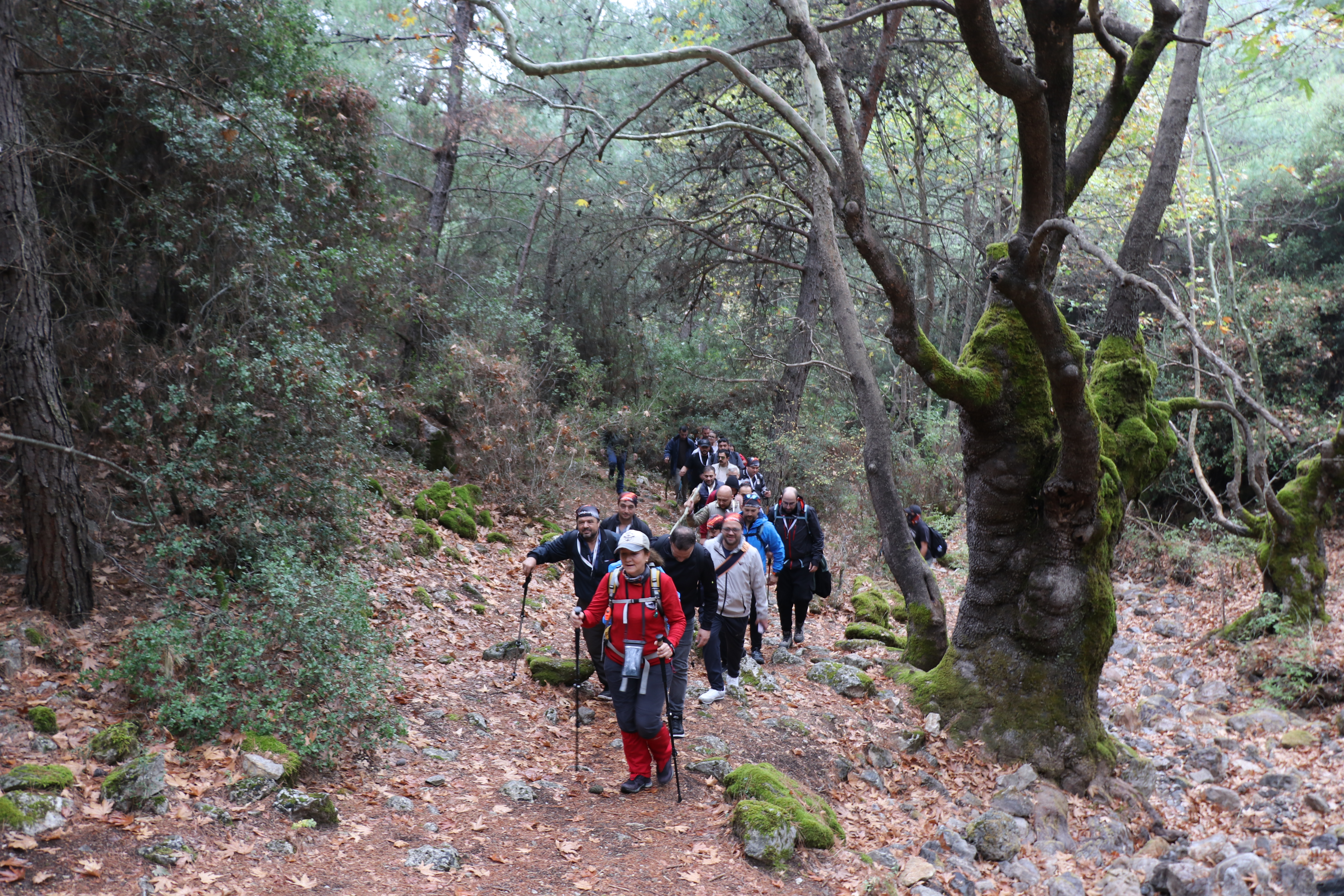 Our Team Spirit Reached New Heights in Nature!